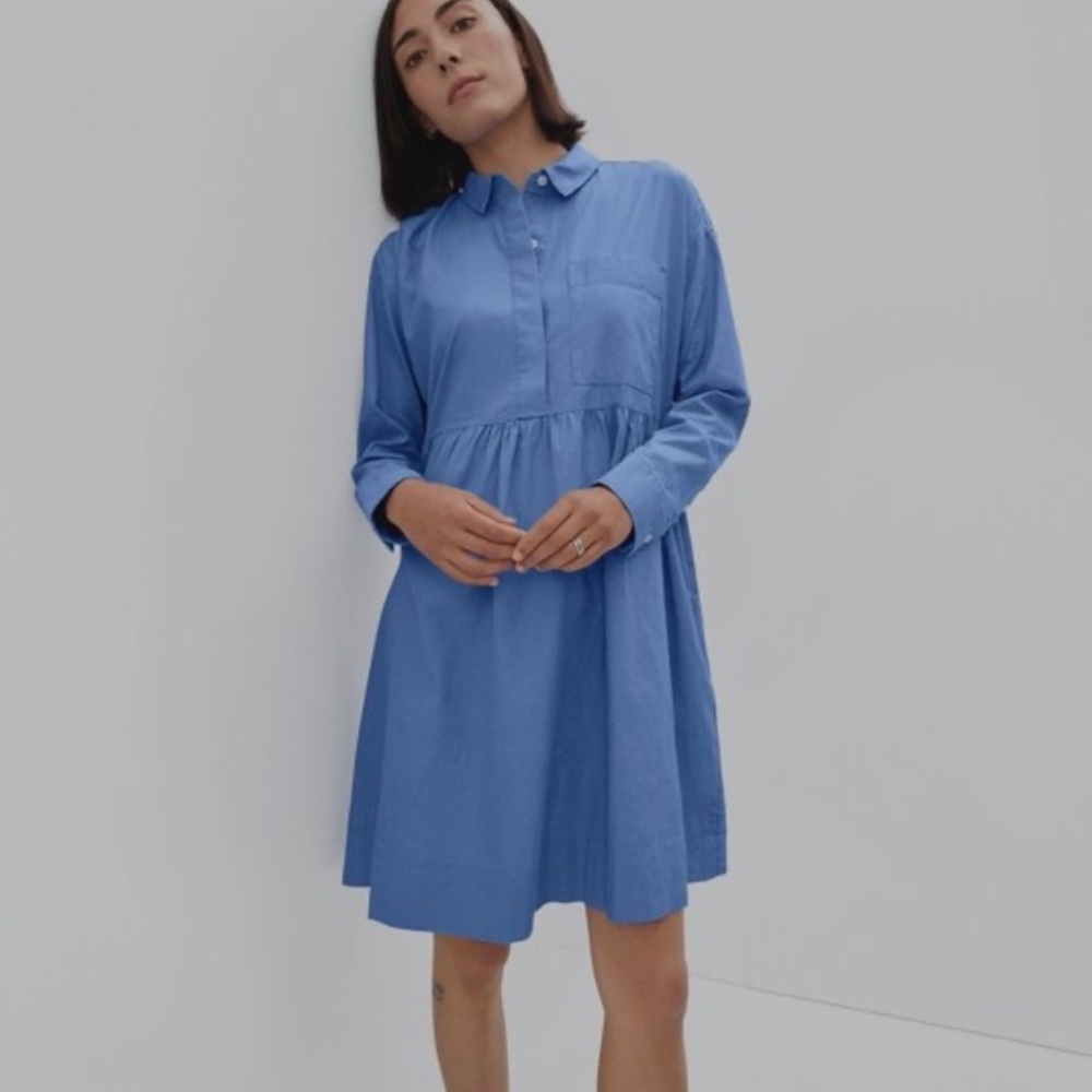 Everlane Blue Women's Dress